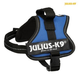 Julius-K9 silový postroj Mini-Mini/S 40-53 cm - modrá