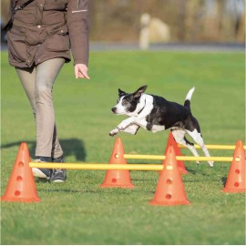 AGILITY prekážka pre psov, kužele a tyče